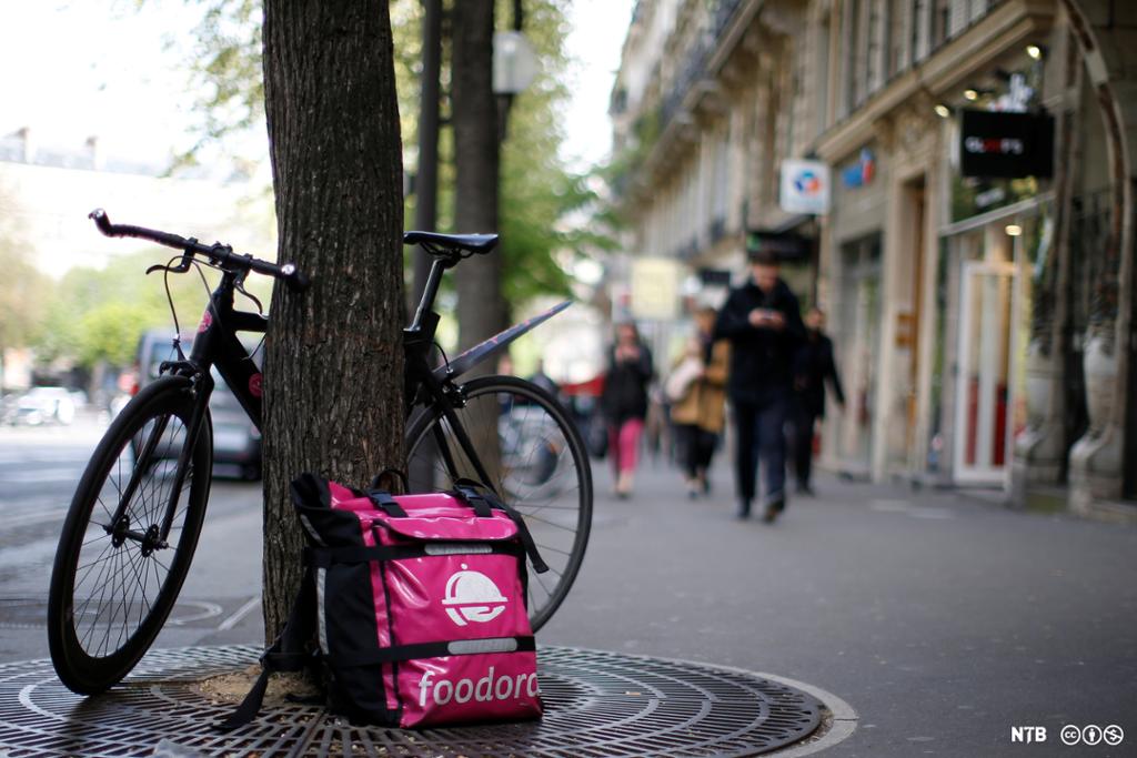 Bicycle and foodora bag leaned up to a tree on a Berlin Street. 
