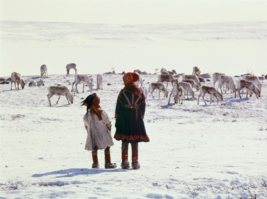 En kvinne og et barn kledt i samedrakter står foran en reinsdyrflokk på ei snødekt vidde. Foto. 