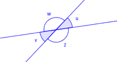 To linjer krysser hverandre. De spisse vinklene mellom linjene kalles u og v. De to andre vinklene kalles w og z. Illustrasjon.