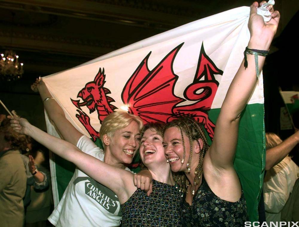 Wales Celebrates in 1997