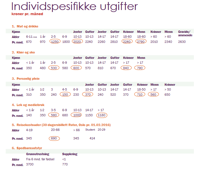 Illustrasjon som viser individspesifikke utgifter beregnet av sifo. Faksimile.