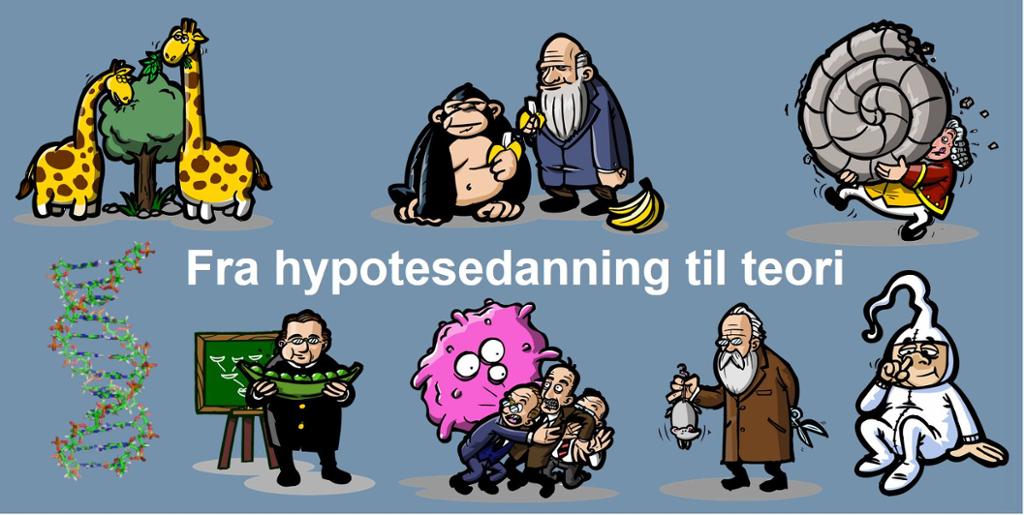 Skjermdump av presentasjonen "Fra hypotesetesting til teori". Illustrasjon.