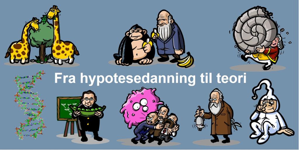 Tegninger av hypotesetesting. Illustrasjon.