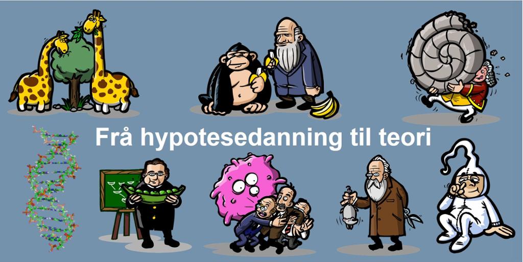 Skjermdump av presentasjonen "Frå hypotesetesting til teori". Illustrasjon.