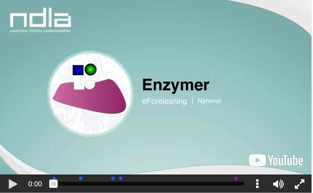 Skjermbilde fra e-forelesning om enzymer. Foto.