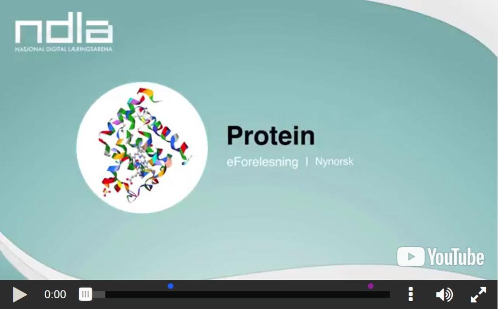 Skjermbilete av e-forelesing om protein. Foto.