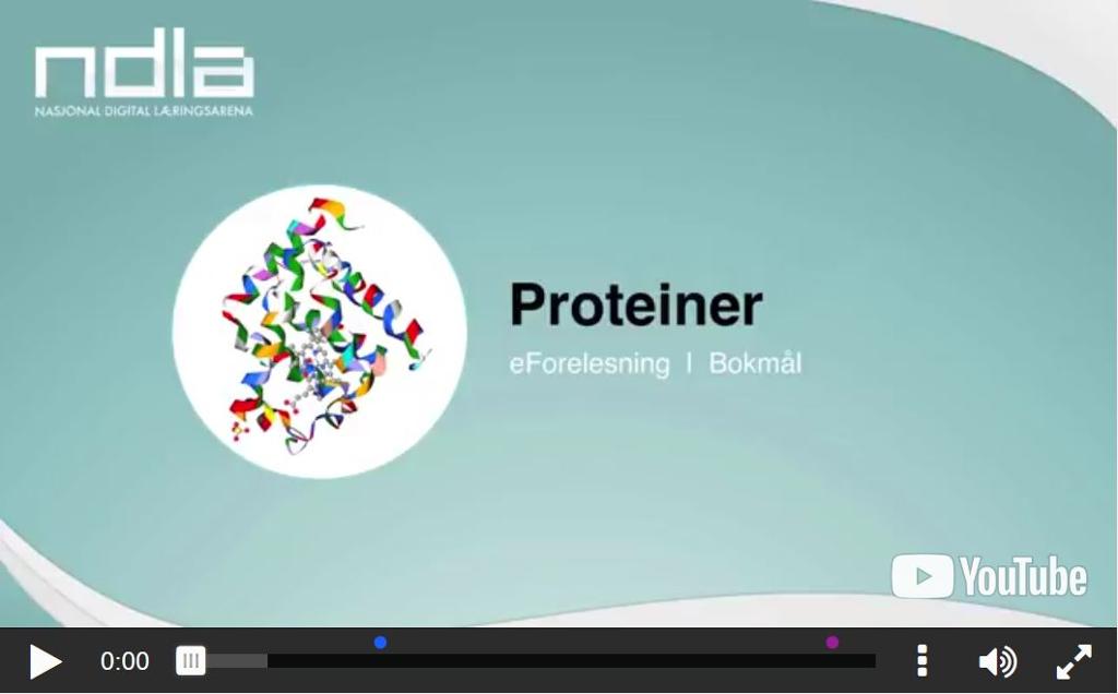 Skjermbilde av e-forelesning om proteiner. Foto.