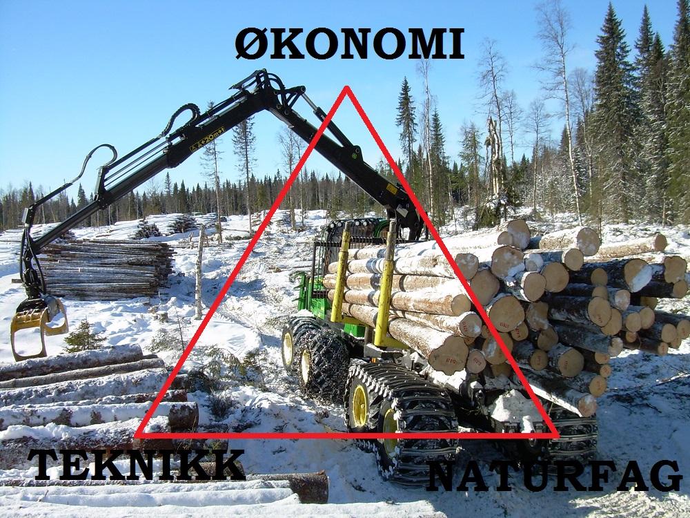 Skogbruk med trekant. Foto/tegning
