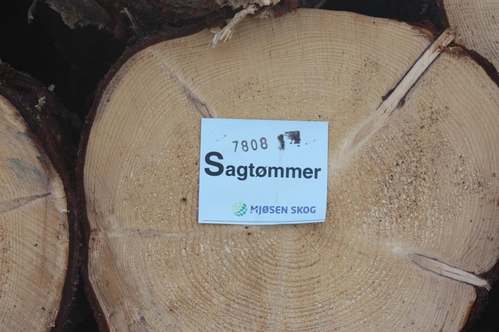 Store tømmerstokkar merkt med ein lapp der det står Sagtømmer, Mjøsen skog, og talet 7808. Foto.