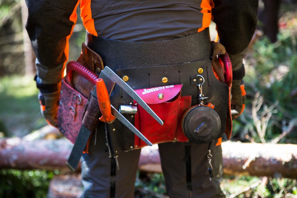 Skogsarbeider med hoggerbelte med forskjellig utstyr. Foto.