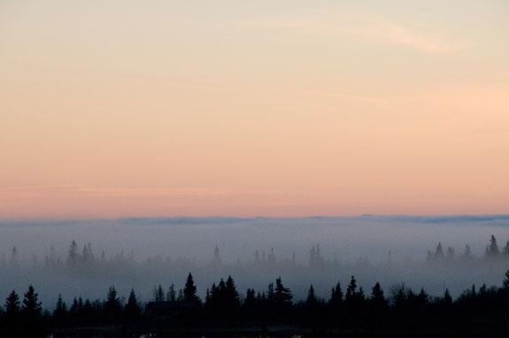 Solnedgang i skogen