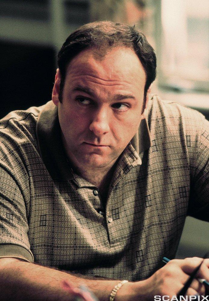 James Gandolfini as Tony Soprano