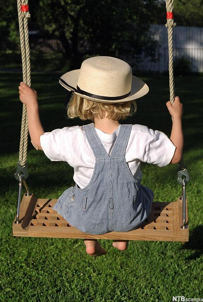 The Swing