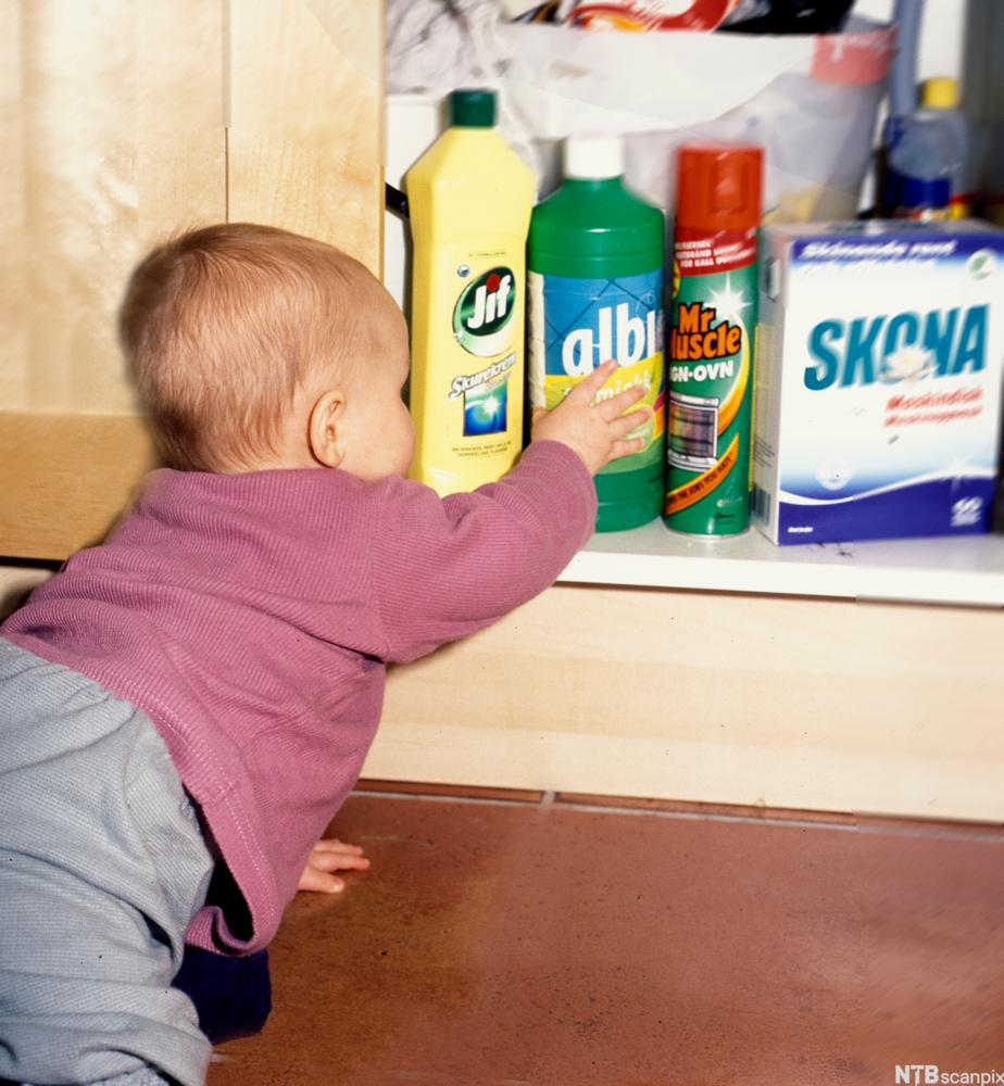 Barn som tar etter ulike husholdningsprodukter som er merket som giftige, blant annet skurekrem, ovnsrens og oppvaskmiddel. Foto.