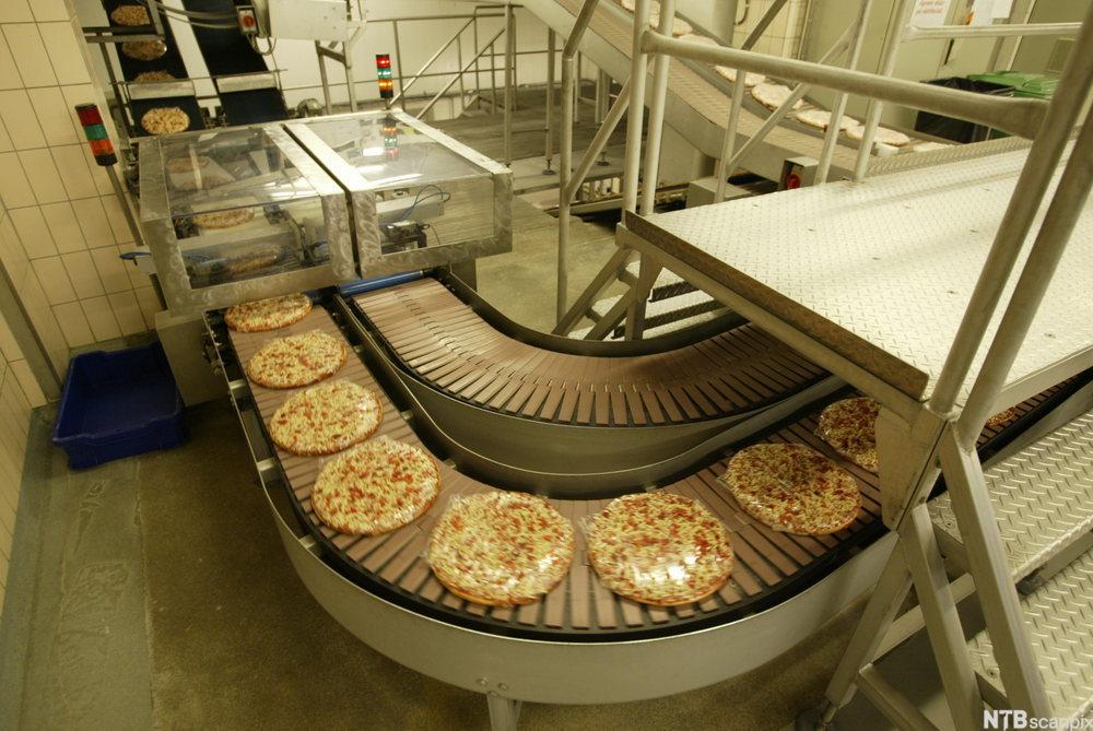 Samlebånd med ferdigpizzaer i en fabrikk. Fotografi.