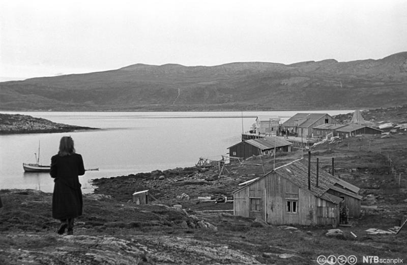 Sørøyas befolkning sliter med gjenresiningen etter andre verdenskrig. Hus under bygging i 1947. Foto. 