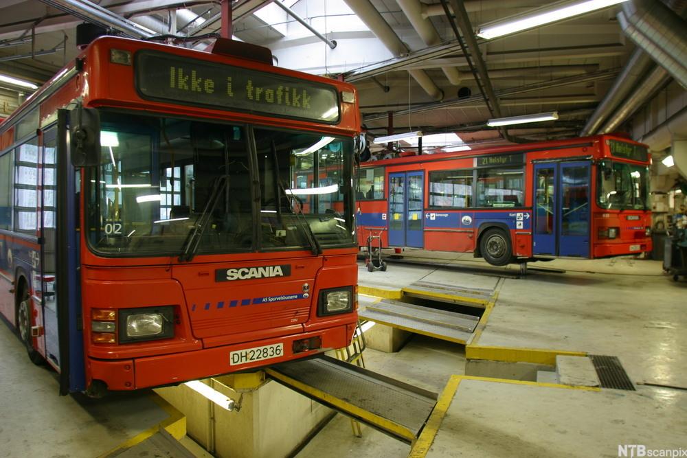 En buss står over ei grav, en annen er jekket opp. Foto.