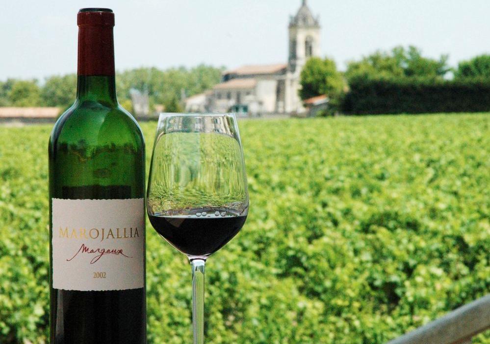 Ei flaske og et glass med rødvin foran en vingård. Foto.