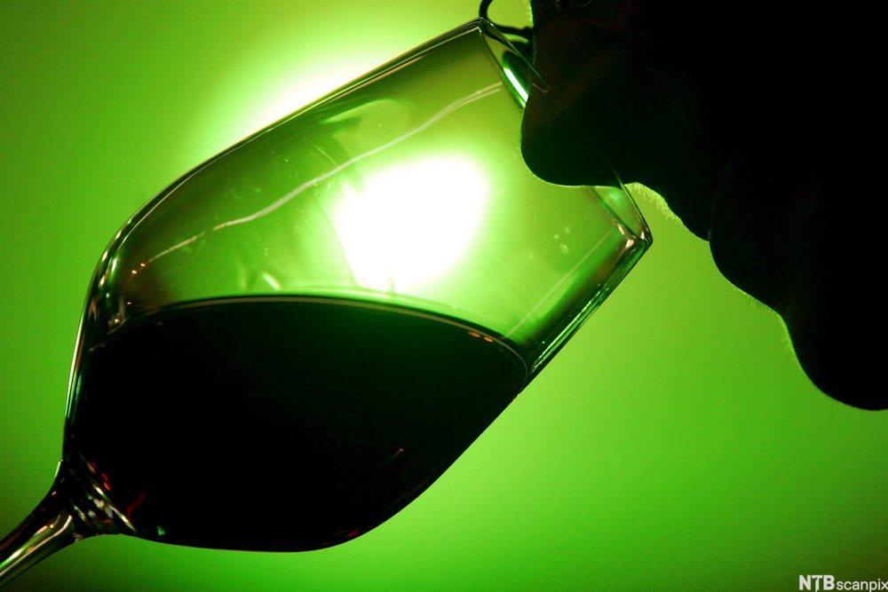 En nese lukter i et glass med rødvin. Foto.