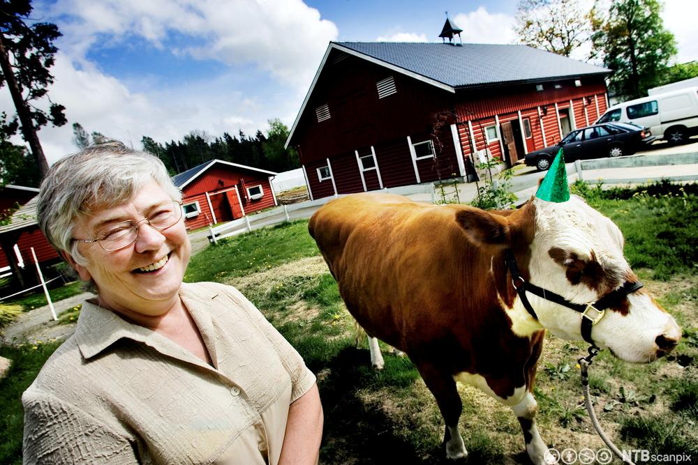 En smilende kvinne foran ei ku med bursdagshatt og gårdsbygninger. Foto.