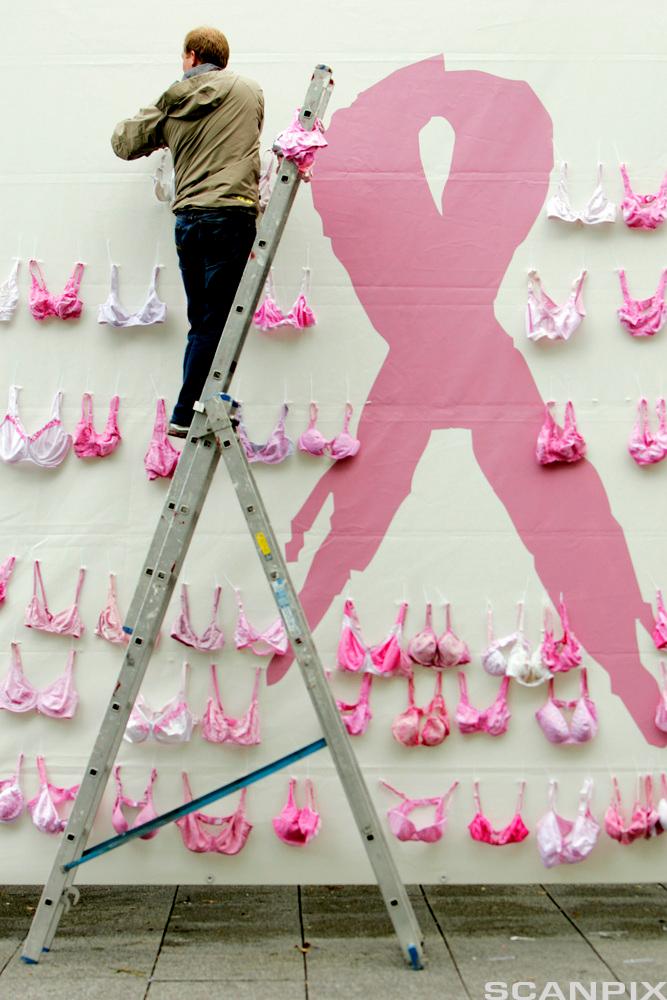 Person står i en stige og heng opp rosa BH-ar på ein vegg kor det er måla ei stor rosa sløyfe. Foto.