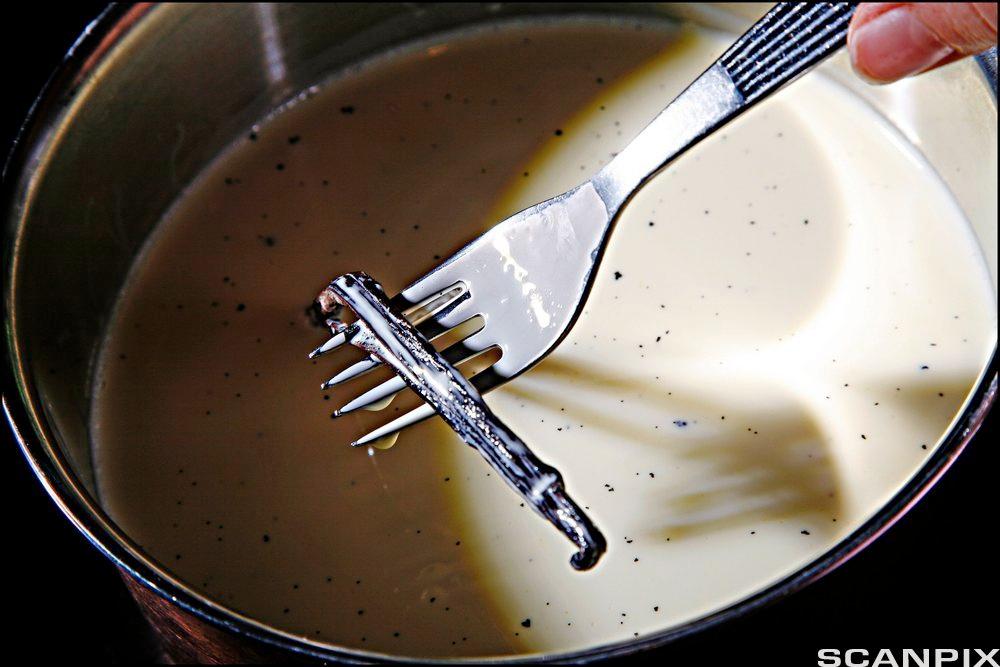 En vaniljestang er fisket opp med en gaffel fra en gryte med oppkokt fløteblanding. Foto.