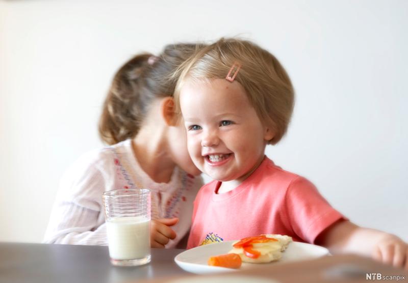 To barn sitter ved et bord. Foran det ene barnet er et glass melk og en asjett med en brødskive med hvitost og paprika og en gulrot ved siden av. Foto.