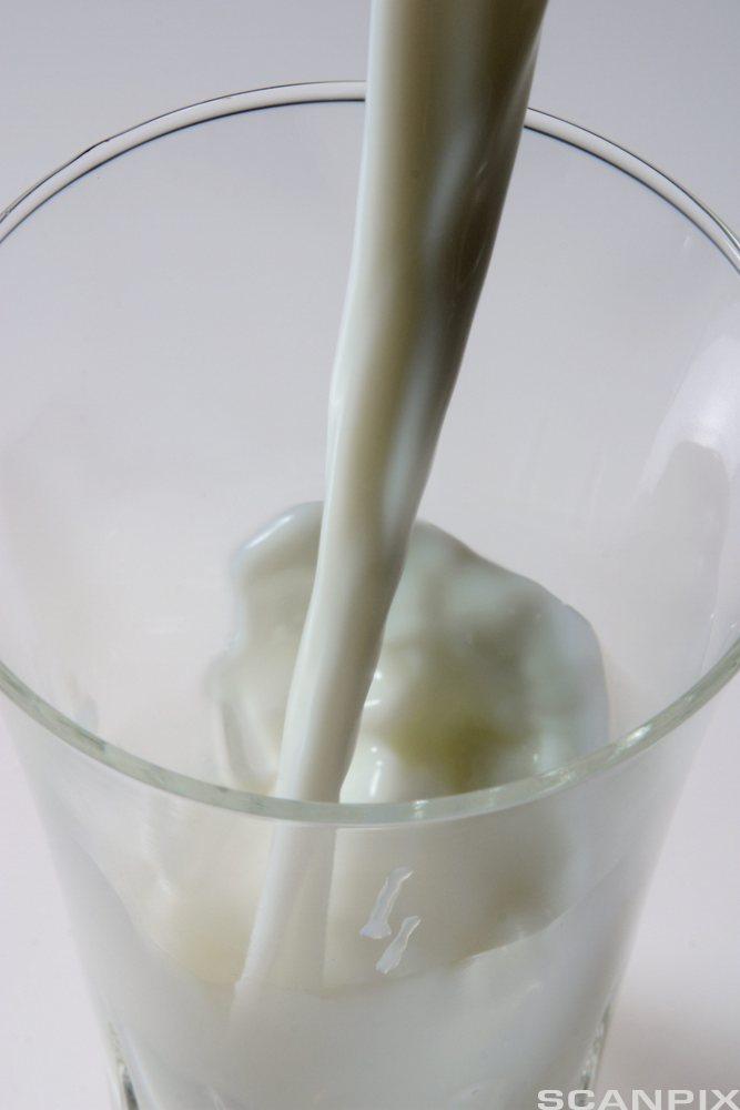 Melk som helles i et glass. Foto.
