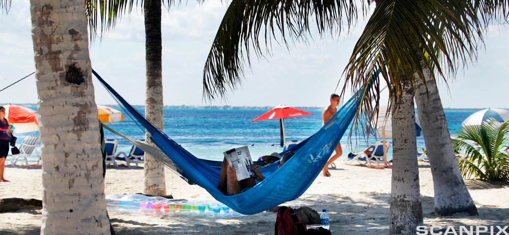 Person ligger i hengekøye på stranda og leser i et magasin. Det er palmer, parasoller og folk som spaserer på stranda rundt personen. I bakgrunnen er blått hav. Foto.