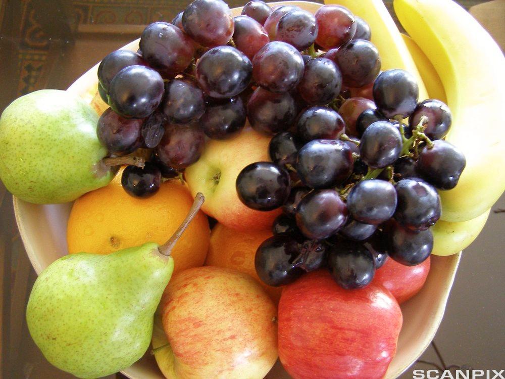 Fruktfat med røde epler, bananer, pærer og blå druer. Foto.