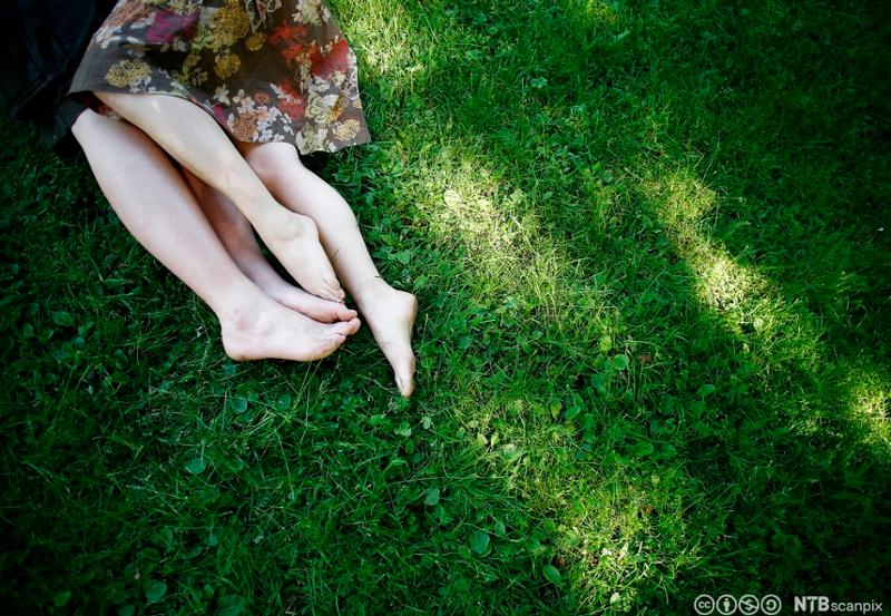 Forelsket par ligger på gresset. Vi ser bare beina. Foto.
