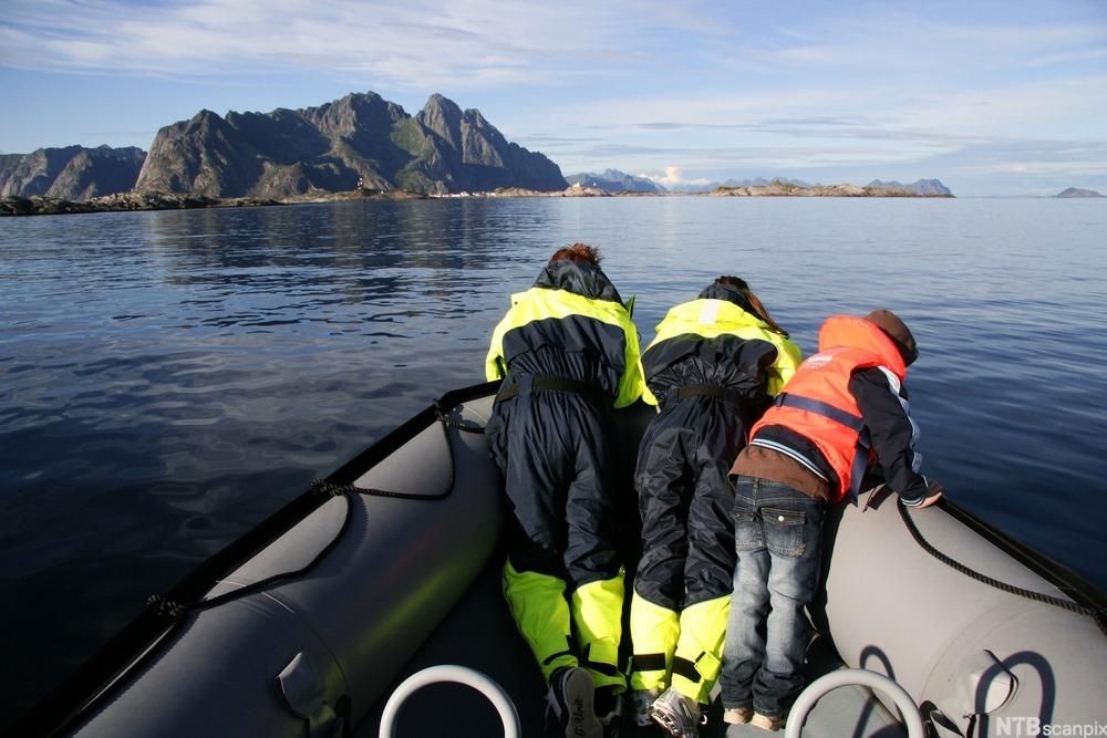Tre personer i rib i Lofoten. Foto.