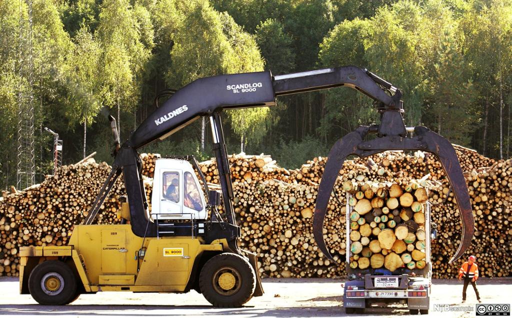 En stor truck med gigantisk klo er i ferd med å laste tømmerstokker over på en lastebil. Foto.