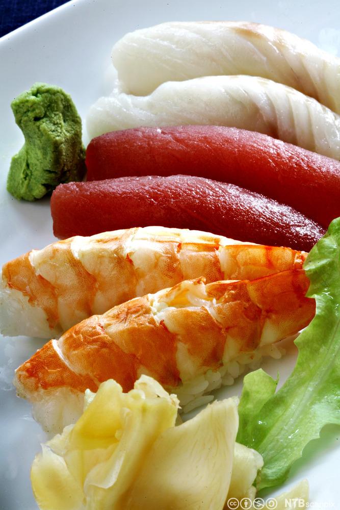 Nigiri-sushi med kveite, tunfisk og laks på eit fat, sylta ingefær og wasabi ligg ved sida av. Foto.