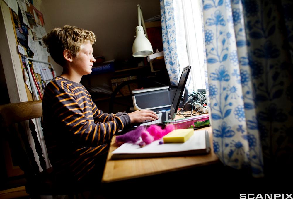 Gutt sitter ved en skrivepult hjemme og jobber på PC. Foto.