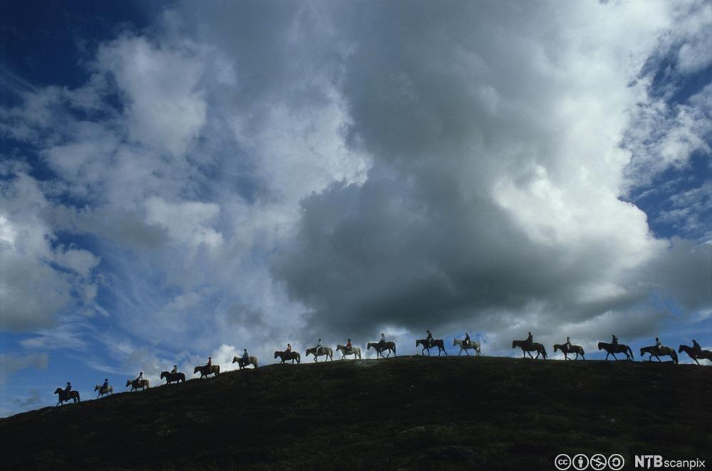 Hestar med ryttarar på ein åskam. Foto.
