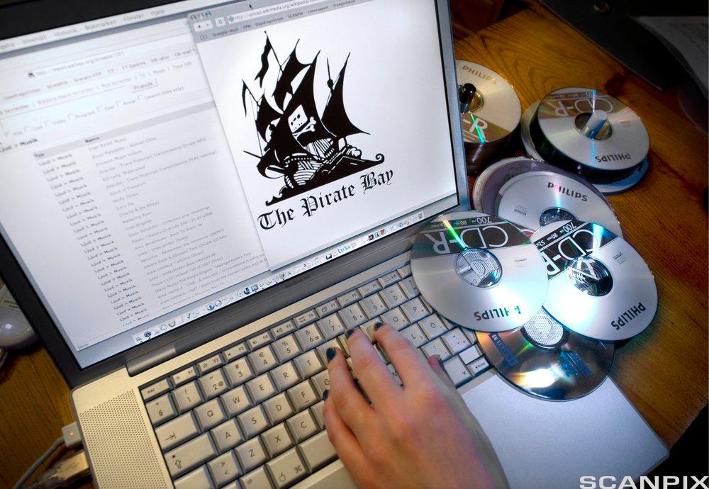 Pirate Bay på ein dataskjerm. Foto.