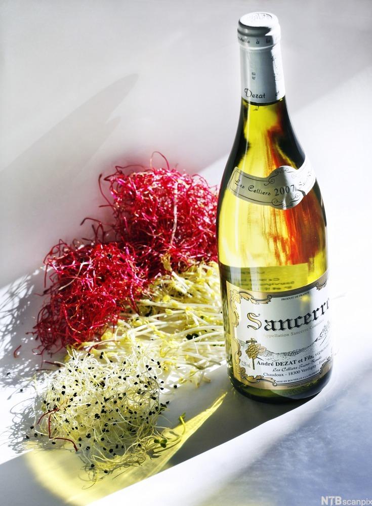 Spirer og en flaske dezat sancerre hvitvin. Foto.
