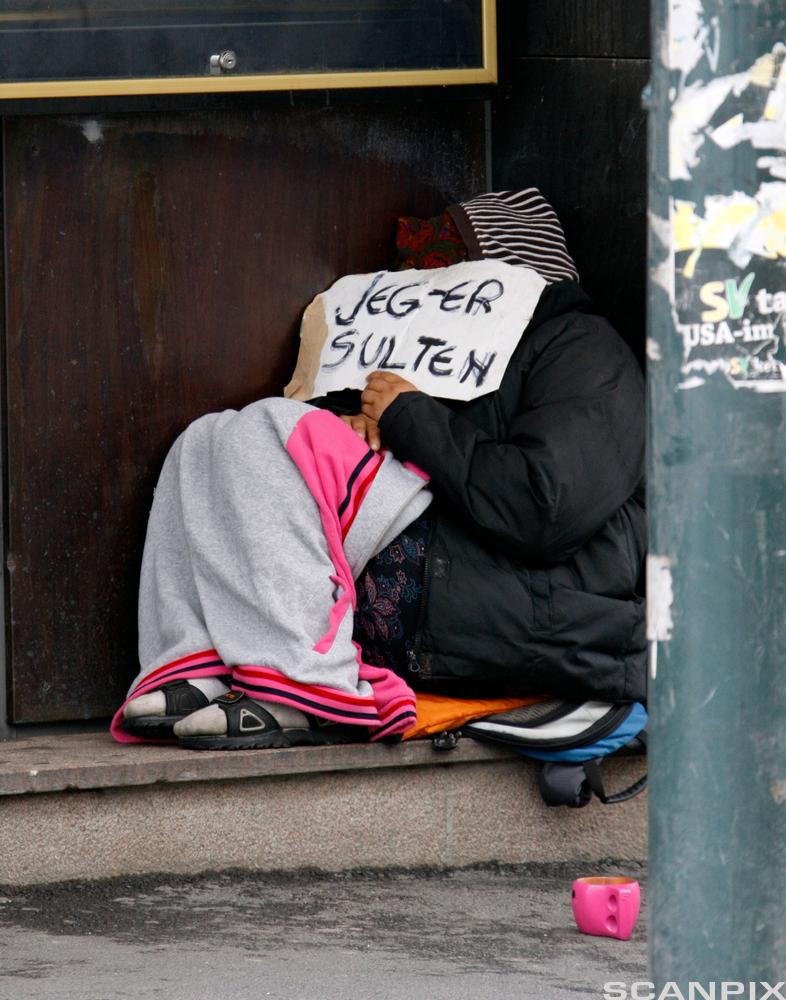 Tigger sitter under et pledd og holder et skilt med teksten "Jeg er sulten" foran ansiktet. Foto.