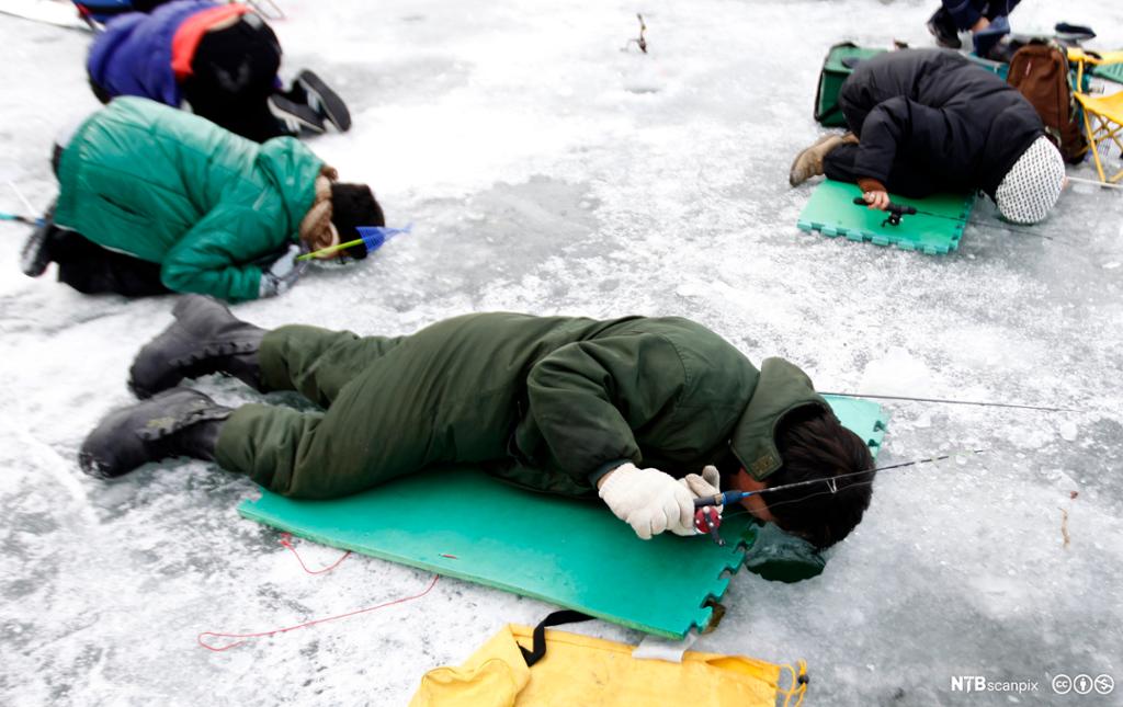 Bilde av mennesker som fisker på isen