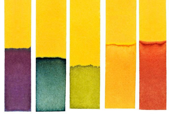 Fem gule papirremser med ulike fargar på nedste del. Frå venstre mot høgre er det lilla, mørkegrøn, lysegrøn, oransje og raud. Foto.