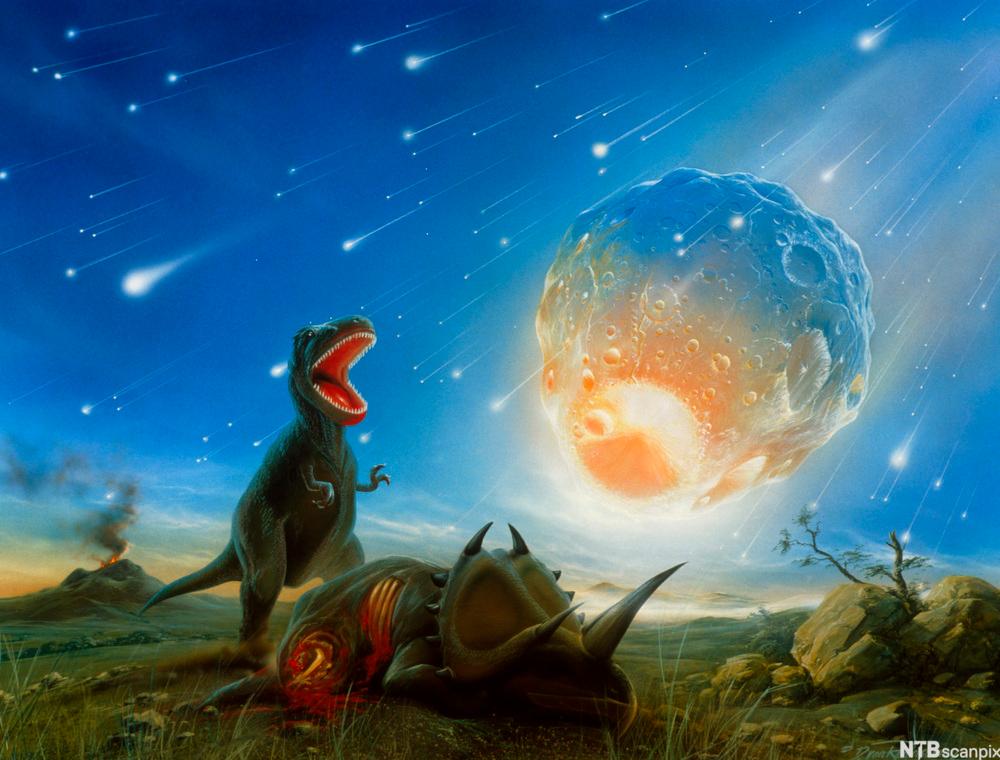 Tyrannosaurus rex utryddet av meteorittnedslag.
