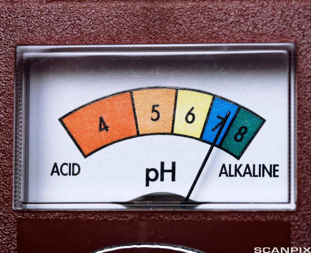 Eit pH-meter viser alkaliteten av jord. Foto.