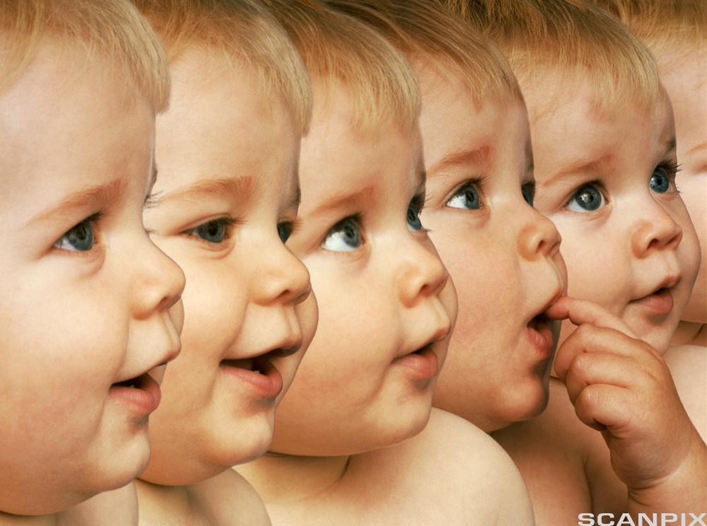 Bildeserie av en baby med mange forskjellige ansiktsutrykk. Foto.