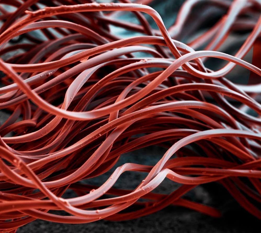Nærbilde av polyesterfiber i rødt. Foto.