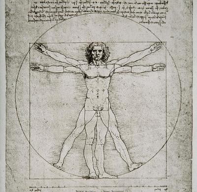 Menneskekroppen - Leonardo da Vinci