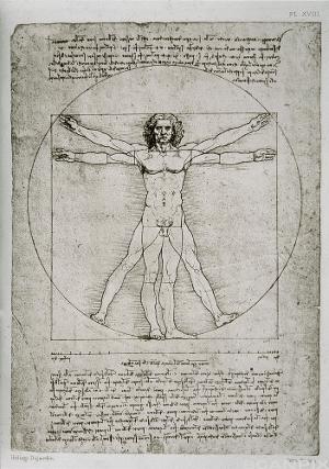 Menneskekroppen - Leonardo da Vinci