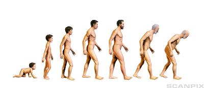 Menneskets utvikling. Foto.