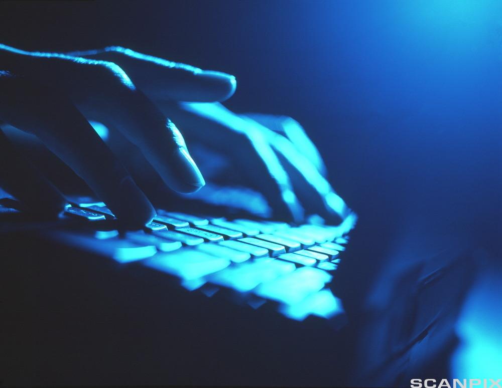 To hender som skriver på et tastatur i et mørkt rom med kun blått lys fra dataskjermen. Foto.