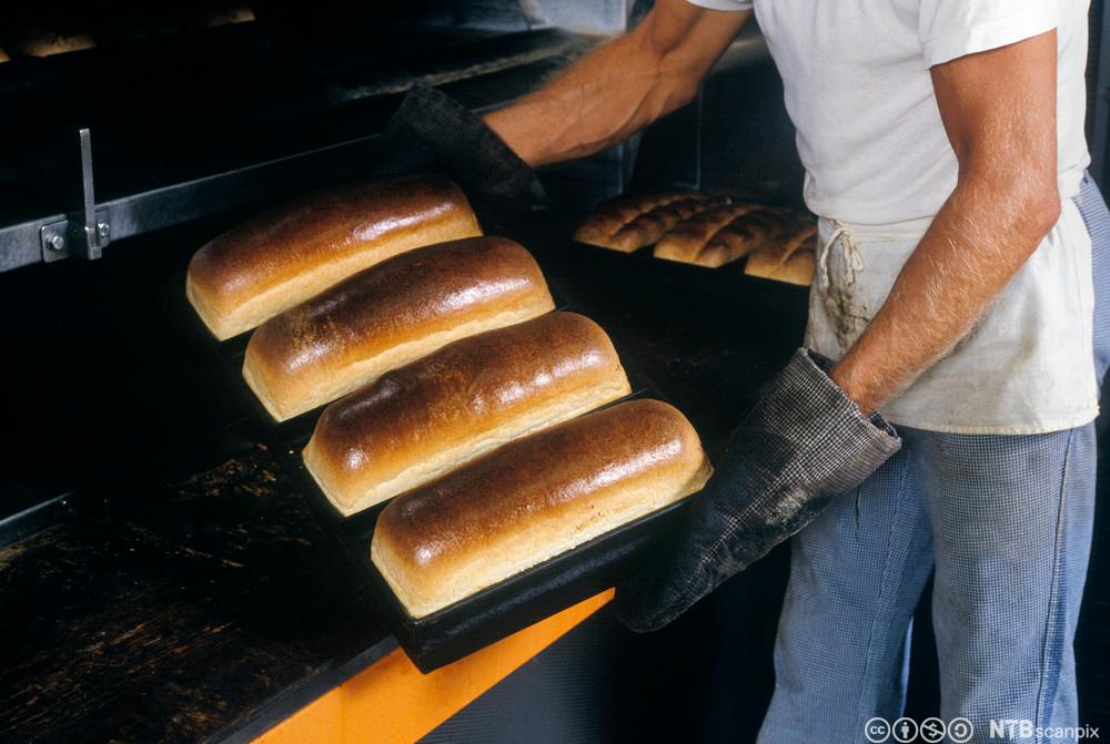 Baker som tar ut brød fra en bakerovn. Foto.